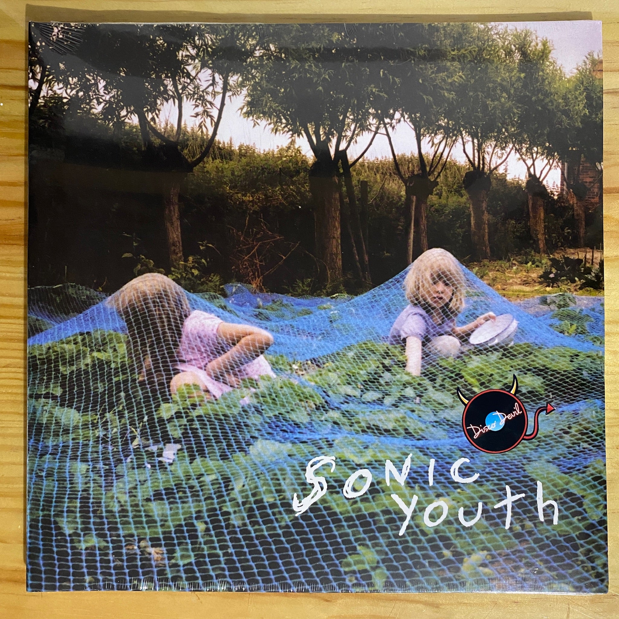 Sonic Youth Murray Street Disco Devil Página Oficial 