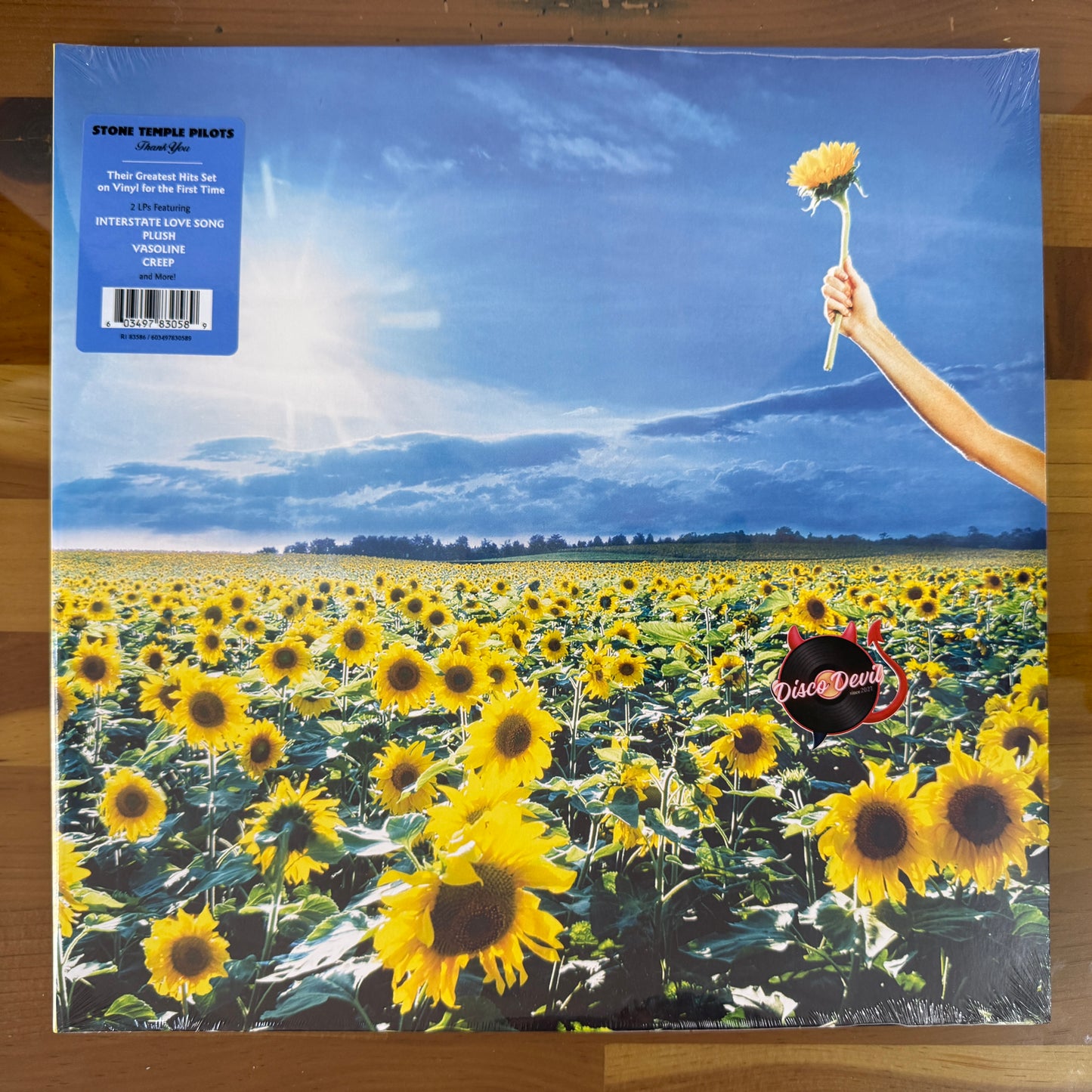 Stone Temple Pilots - Thank You
